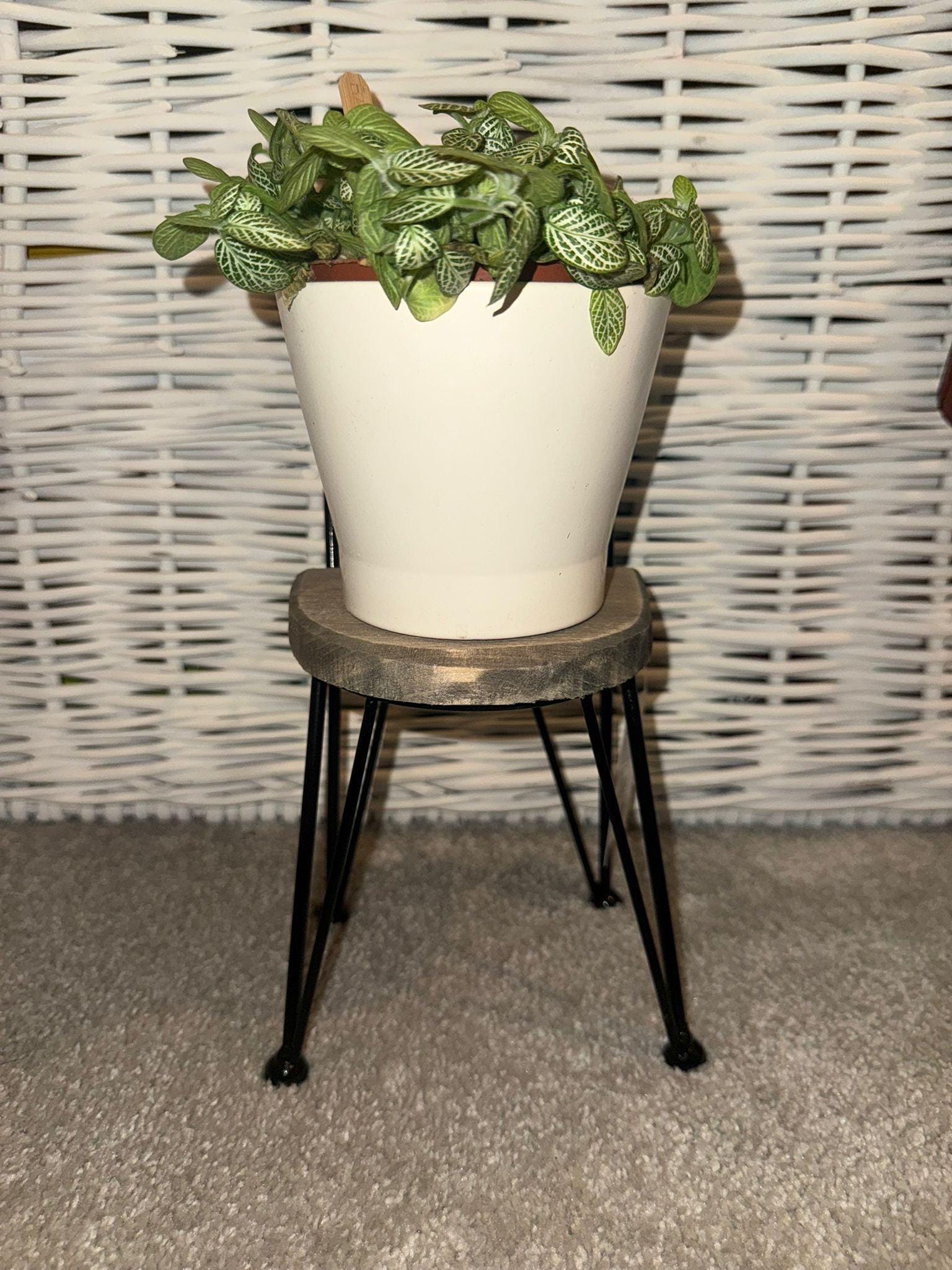 Small Chair Planter Stand – 26cm Rustic Mini Plant Holder