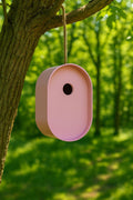 Eco Friendly Bamboo Fibre Oval Bird House - Pink